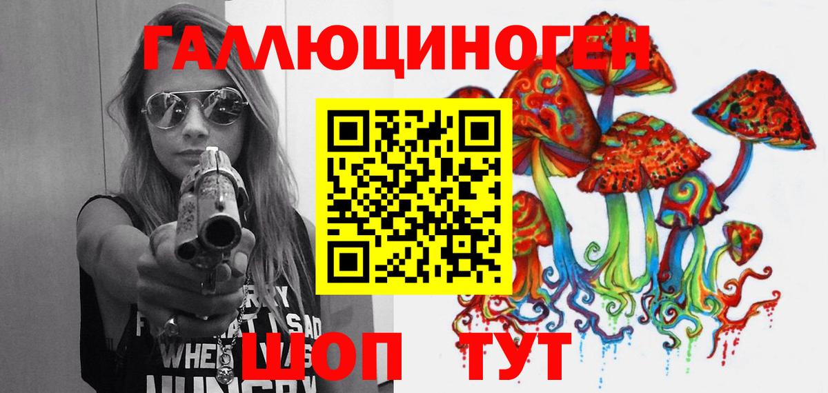 сколько стоит  Вход с VPN  Димитровград  Галлюциногенные грибы Psilocybe 